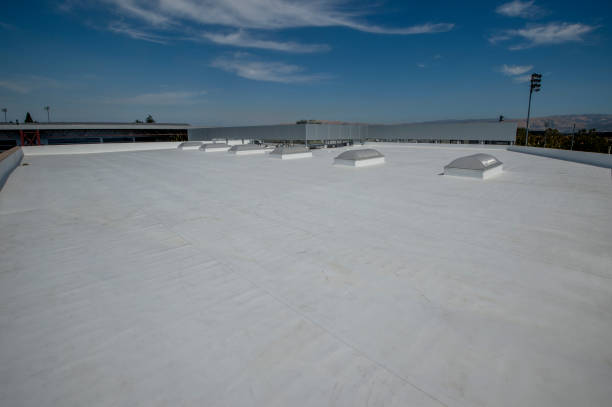 Best Cold Roofs  in La Joya, TX