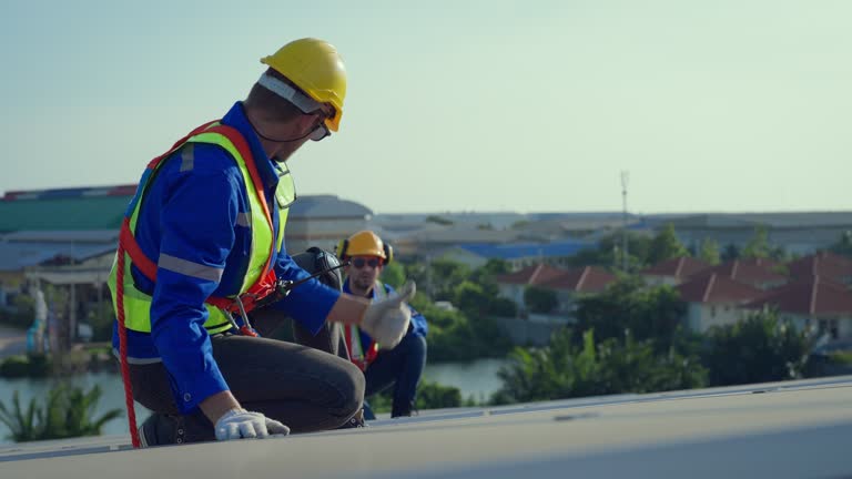 Best Roof Leak Repair  in La Joya, TX