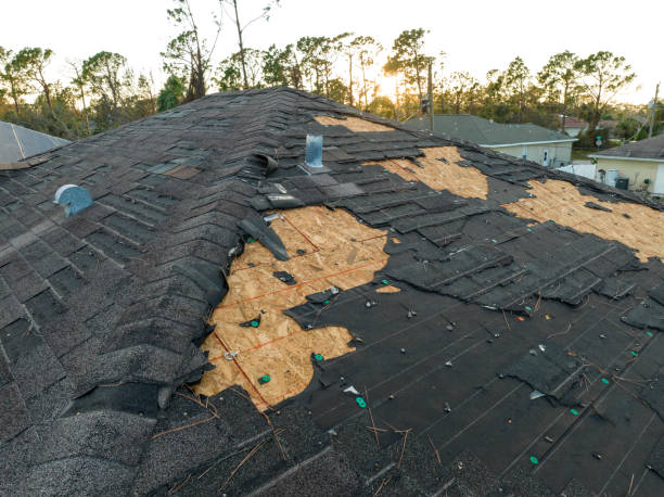 Best Roof Insulation Installation  in La Joya, TX